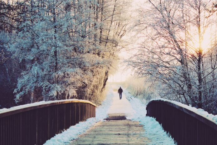 Gåtur igennem vinter skov over bro