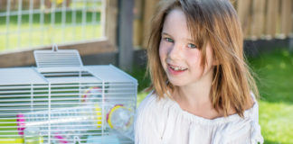 Guide til anskaffelse af hamster hamster