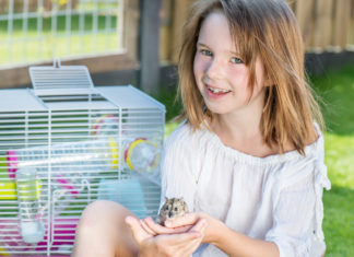 Guide til anskaffelse af hamster hamster