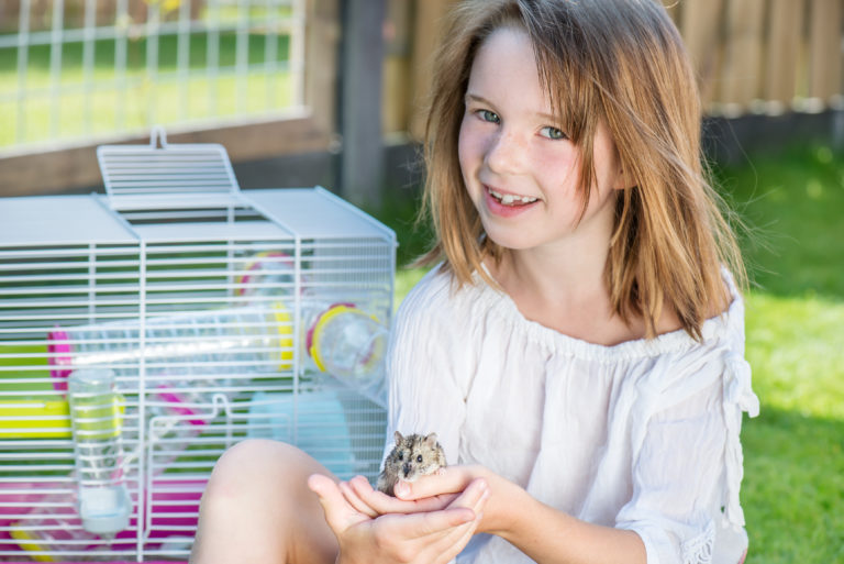 hamster